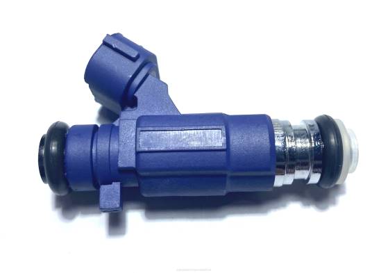 inyector de combustible 166002y905 BNPH1884 venta de autopartes mayoreo -