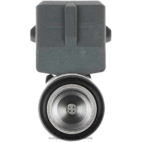 repuestos de auto en santa cruz Bolivia - inyector de combustible iwp114 N2FFZ383 VW SKODA